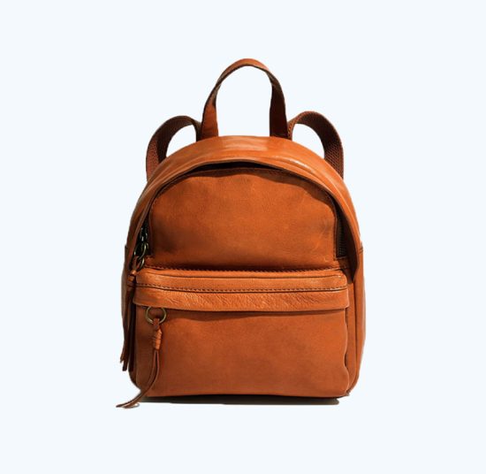 Max Laptop Backpack